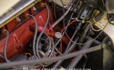 Mg-Td-1952-Beige-Green-39