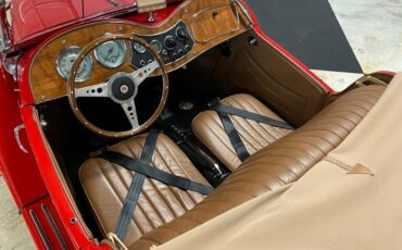 Mg-Td-1953-Red-Buckskin-20