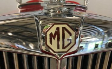 Mg-Td-1953-Red-Buckskin-25