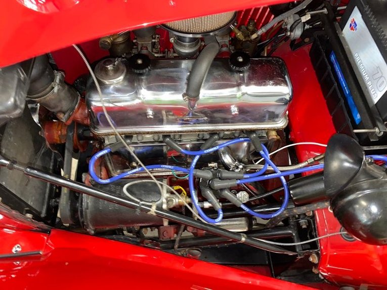 Mg-Td-1953-Red-Buckskin-28