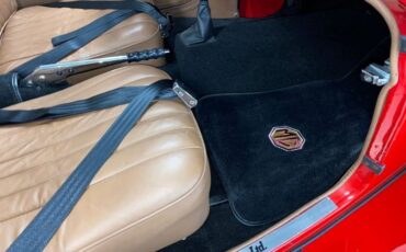 Mg-Td-1953-Red-Buckskin-41