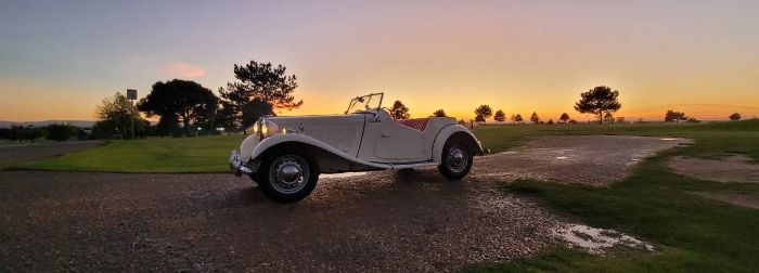 Mg-Td-1953-White-10