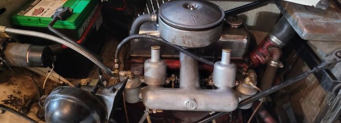 Mg-Td-1953-White-4