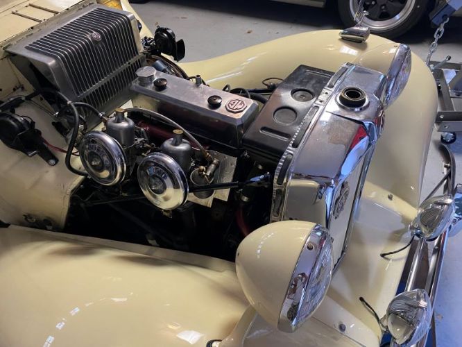 Mg-Td-1953-Yellow-10