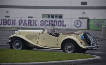Mg-Td-1953-Yellow-16