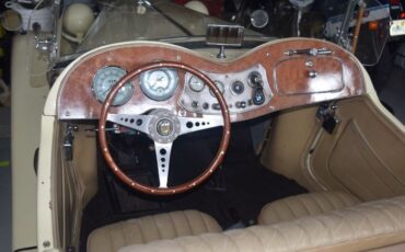 Mg-Td-1953-Yellow-9