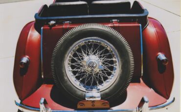 Mg-Tf-1954-Maroon-Black-2