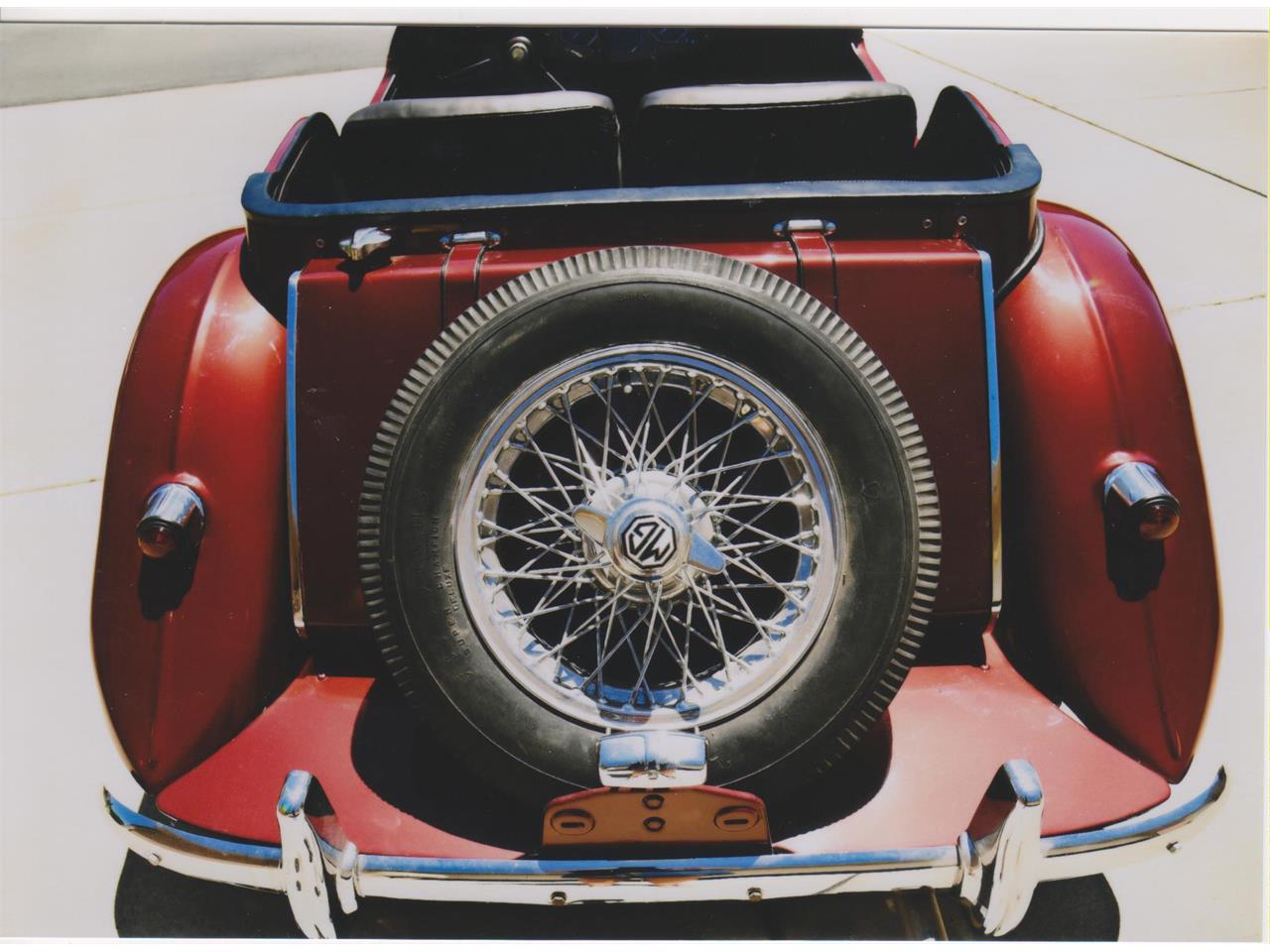 Mg-Tf-1954-Maroon-Black-2