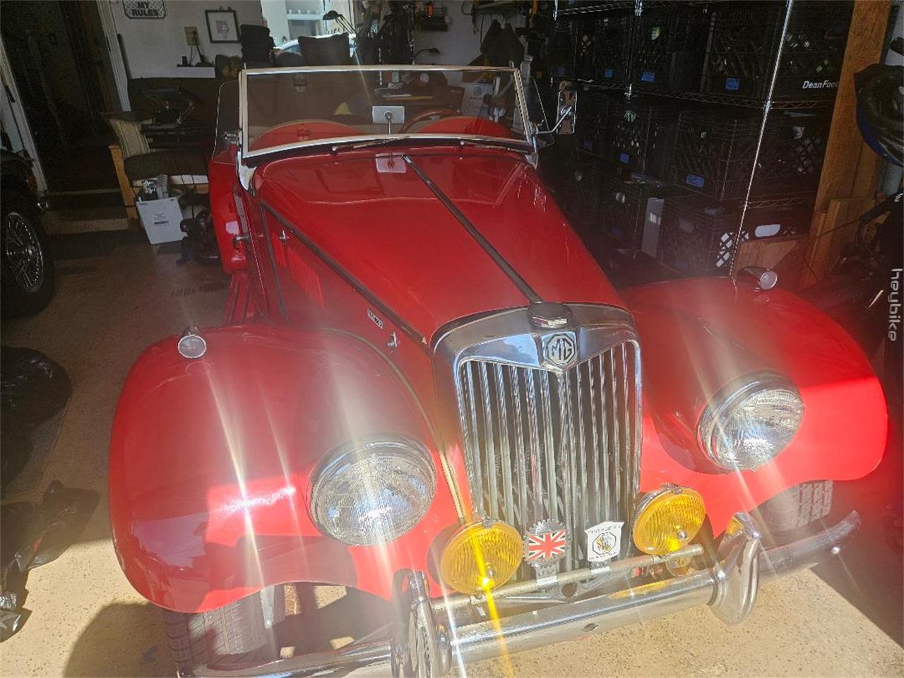 Mg-Tf-1955-RED-Tan-4