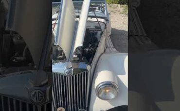 Mg-Tf-1955-White-White-1