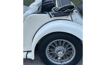 Mg-Tf-1955-White-White-10