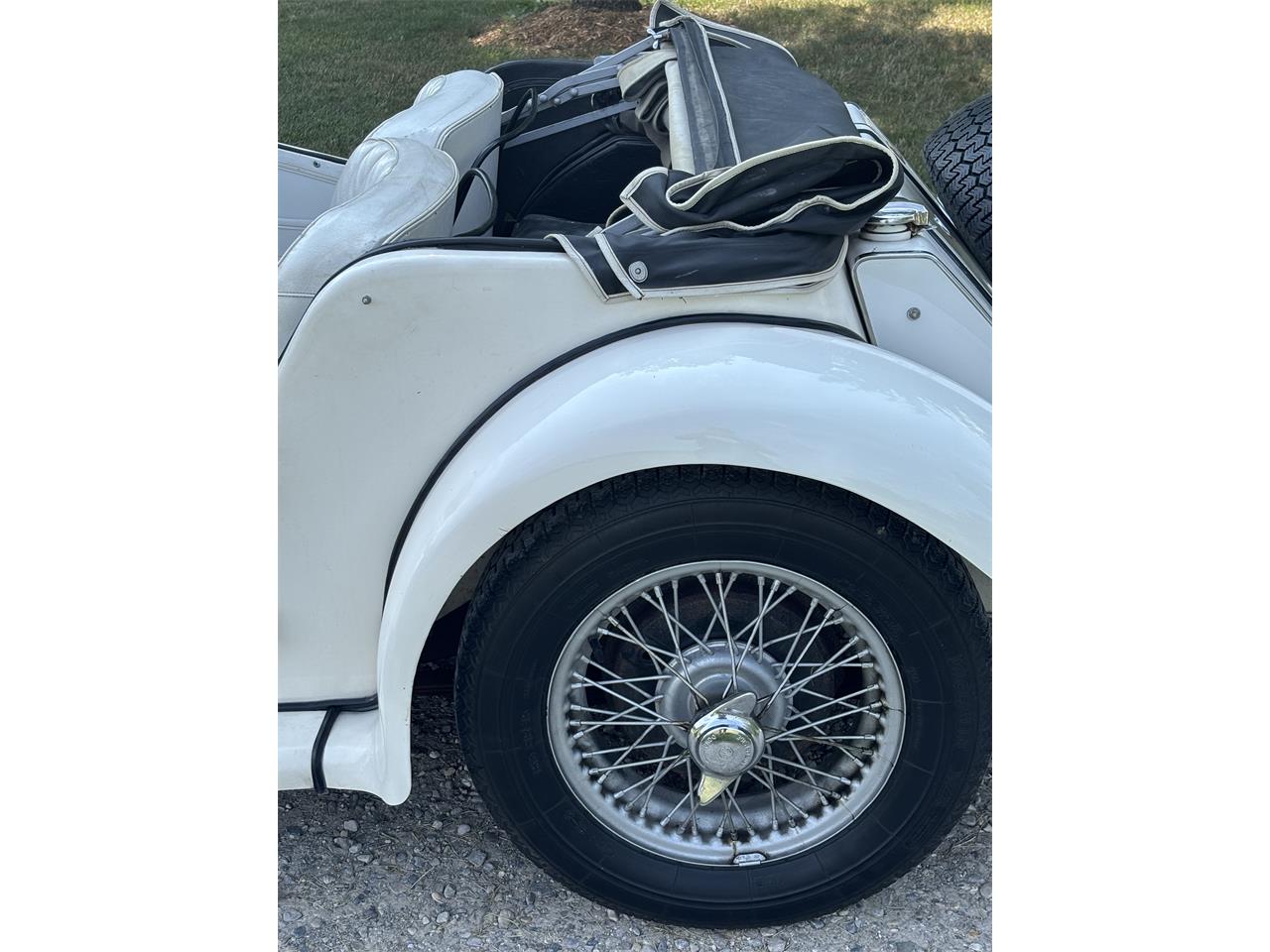 Mg-Tf-1955-White-White-10