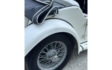Mg-Tf-1955-White-White-11