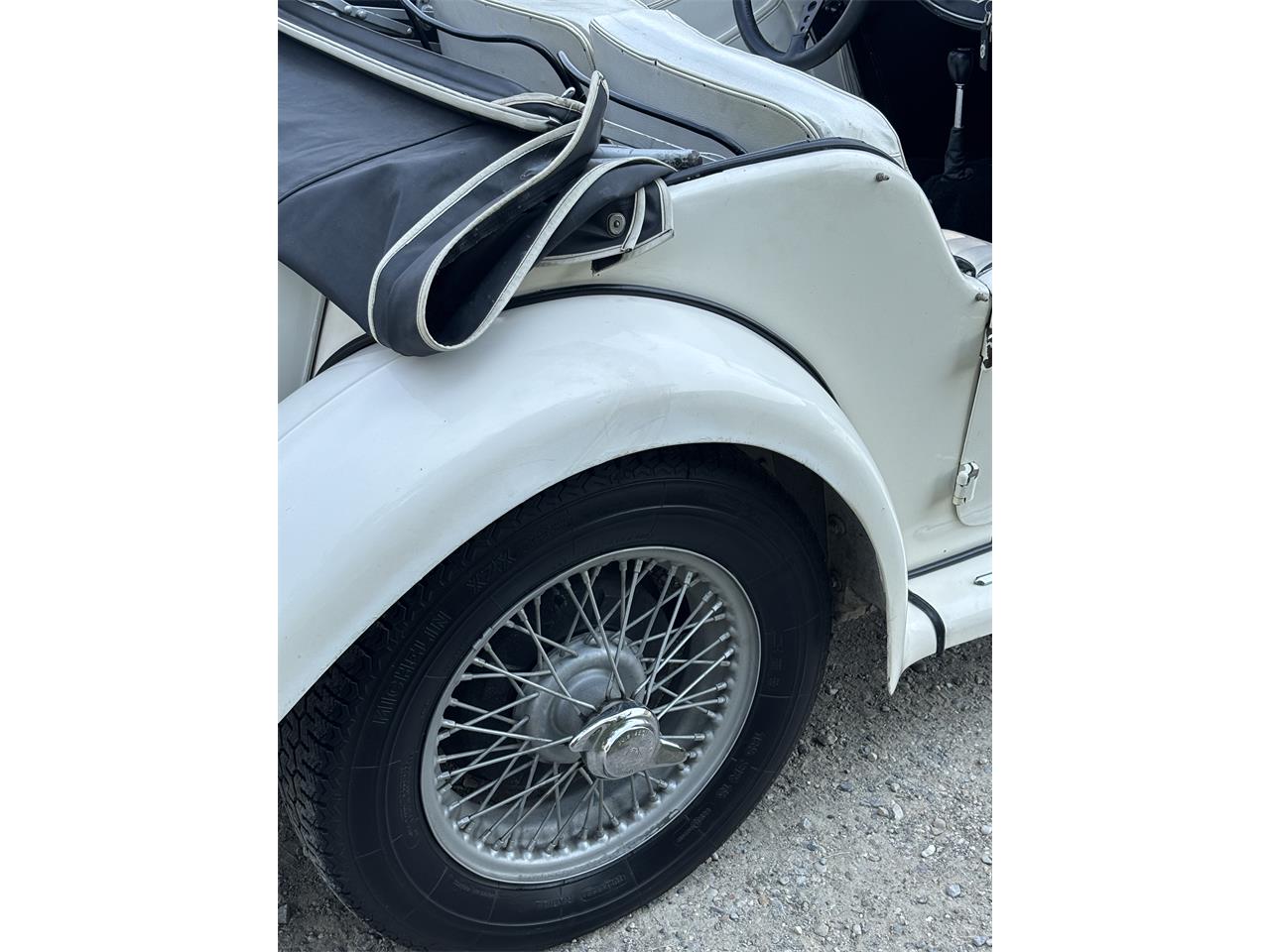Mg-Tf-1955-White-White-11