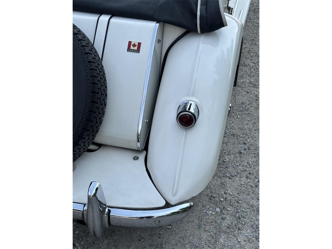Mg-Tf-1955-White-White-12