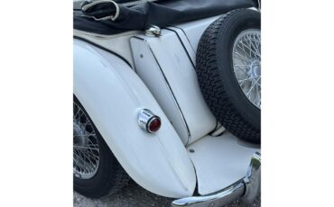 Mg-Tf-1955-White-White-14