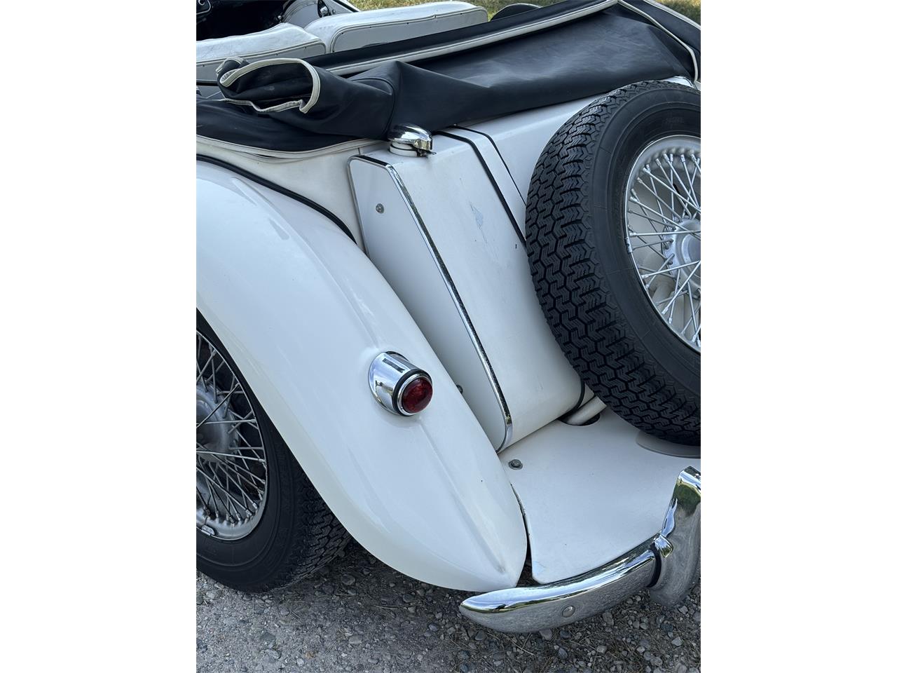 Mg-Tf-1955-White-White-14