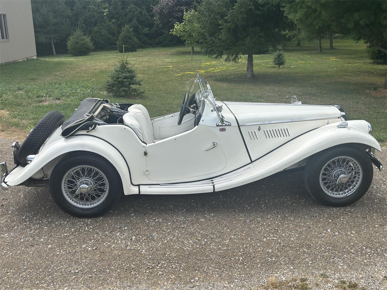 Mg-Tf-1955-White-White-16