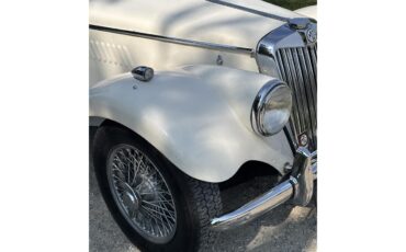 Mg-Tf-1955-White-White-17