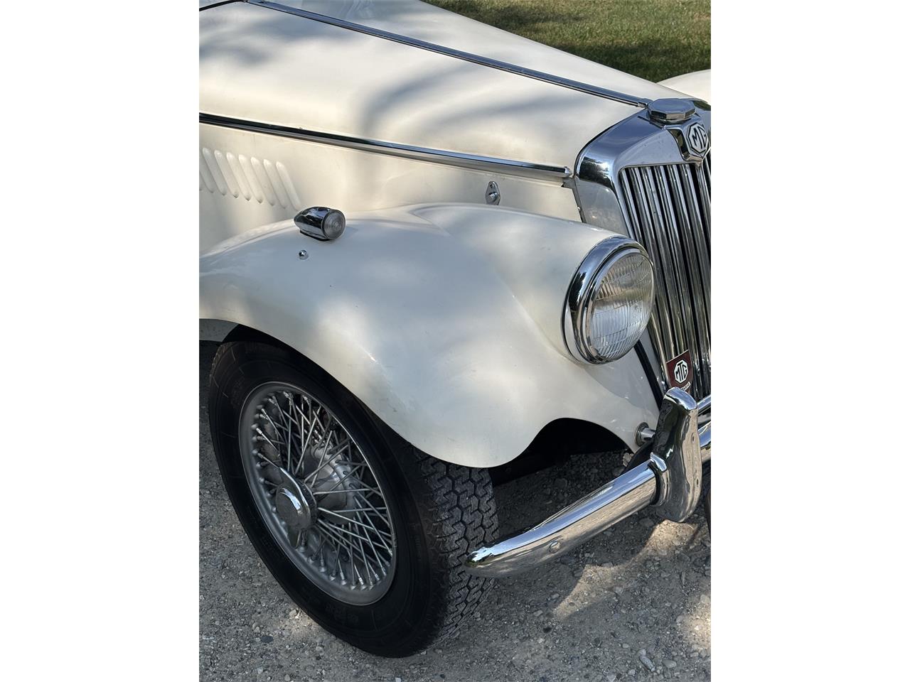 Mg-Tf-1955-White-White-17