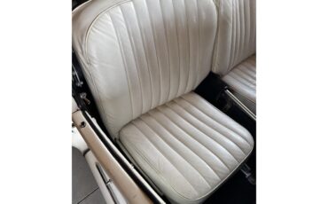 Mg-Tf-1955-White-White-19