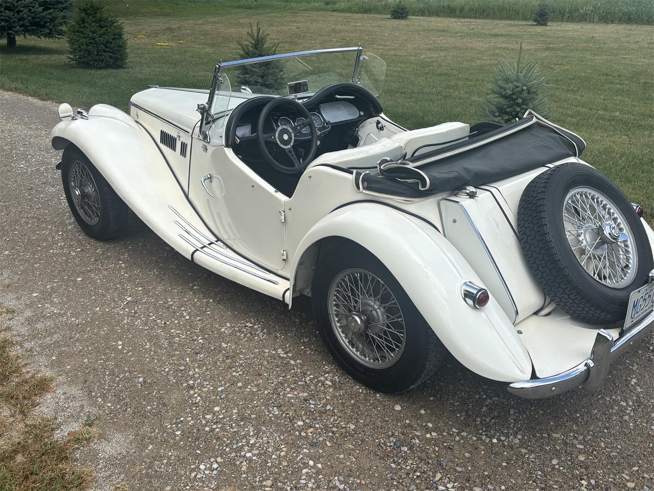 Mg-Tf-1955-White-White-2