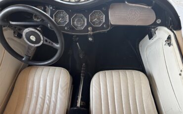 Mg-Tf-1955-White-White-21