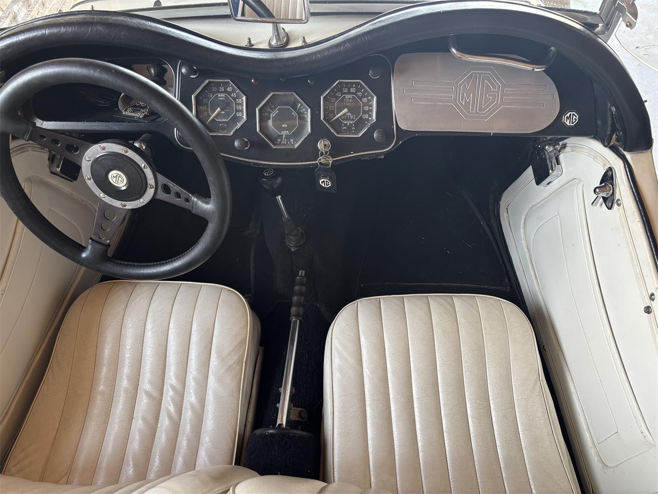 Mg-Tf-1955-White-White-21