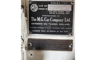 Mg-Tf-1955-White-White-22