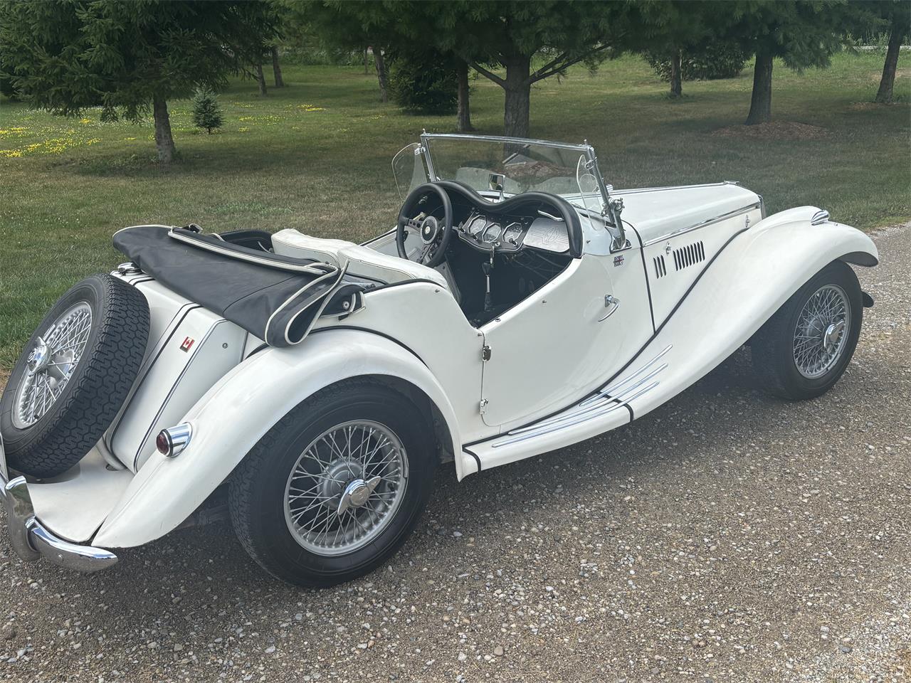Mg-Tf-1955-White-White-3