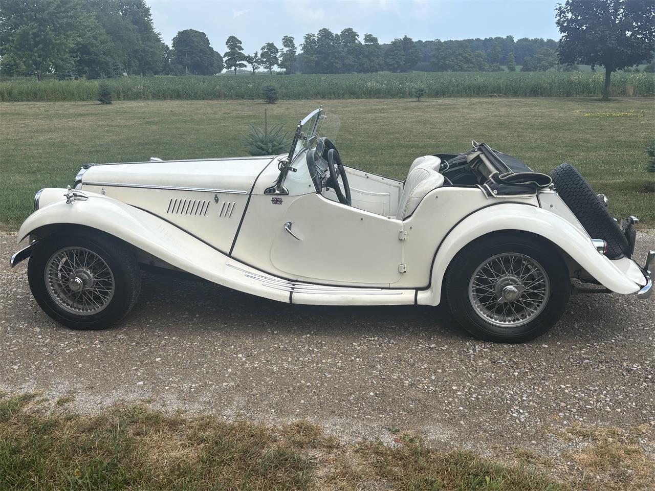 Mg-Tf-1955-White-White-4