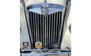 Mg-Tf-1955-White-White-6