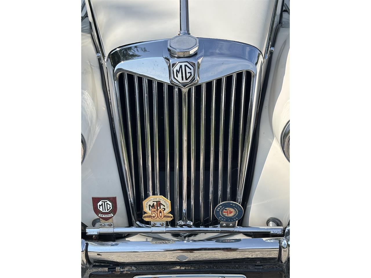 Mg-Tf-1955-White-White-6
