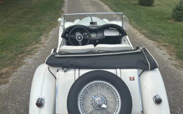 Mg-Tf-1955-White-White-8
