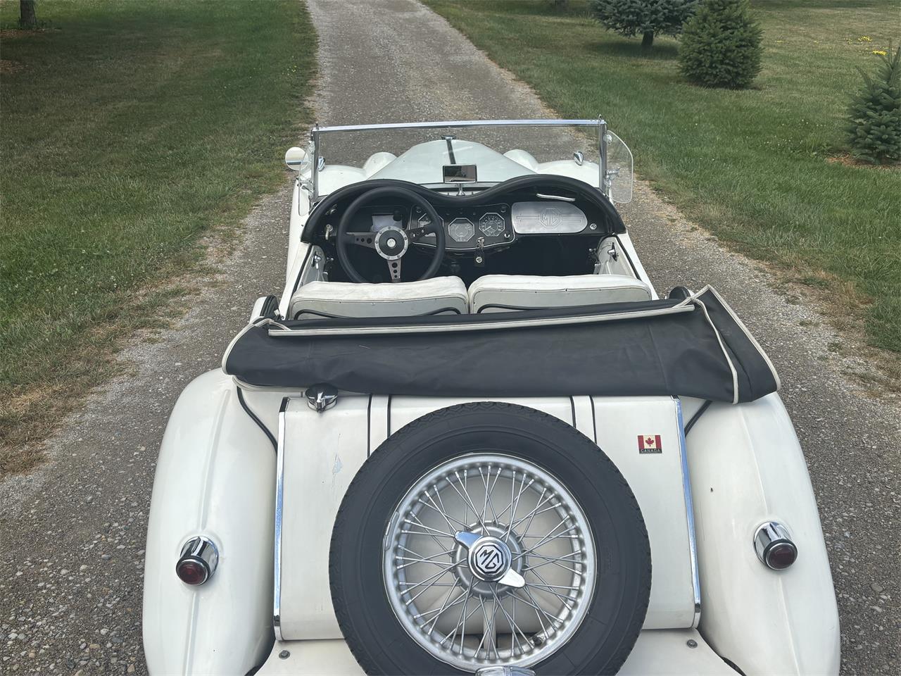 Mg-Tf-1955-White-White-8