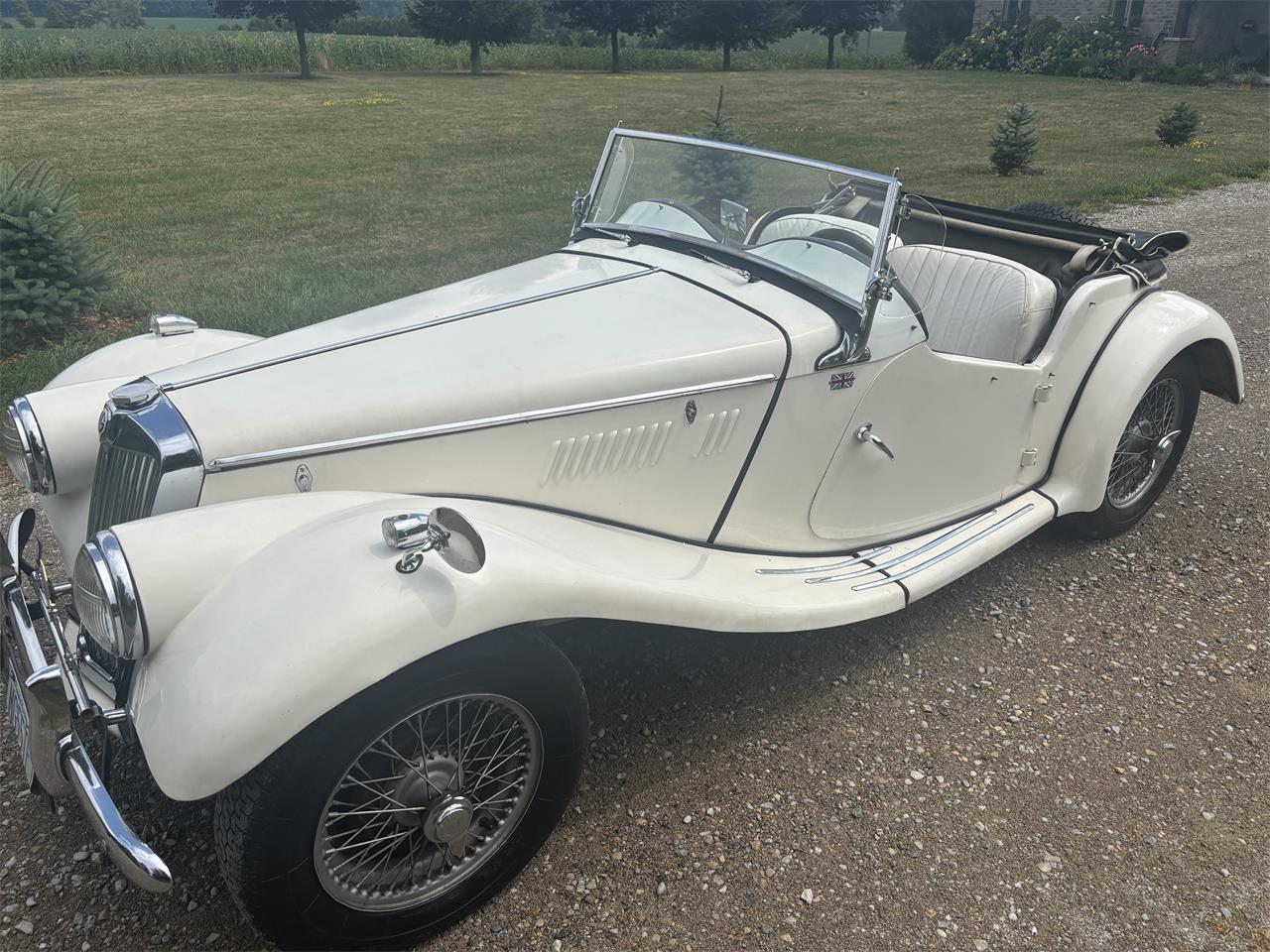 Mg-Tf-1955-White-White