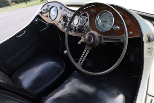 Mg-Yt-1950-Ivory-Black-7