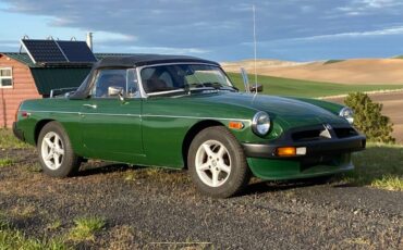Mg-b-1979-green-2