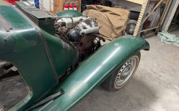 Mg-td-1952-green-11