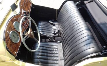 Mg-td-1952-yellow-12
