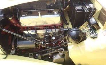 Mg-td-1952-yellow-19
