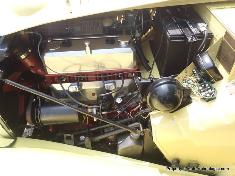 Mg-td-1952-yellow-19