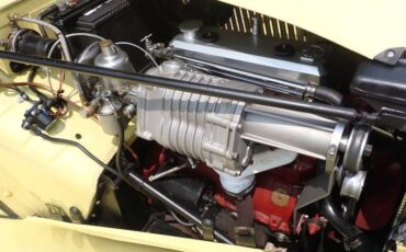 Mg-td-1952-yellow-20