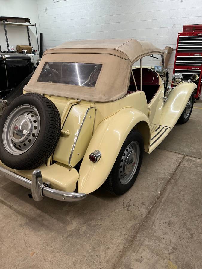 Mg-td-1953-white-3