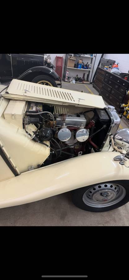 Mg-td-1953-white-4