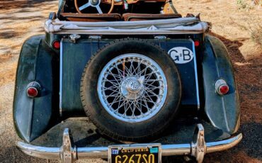 Mg-tf-1500-1955-green-6