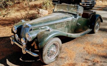 Mg-tf-1955-green-4