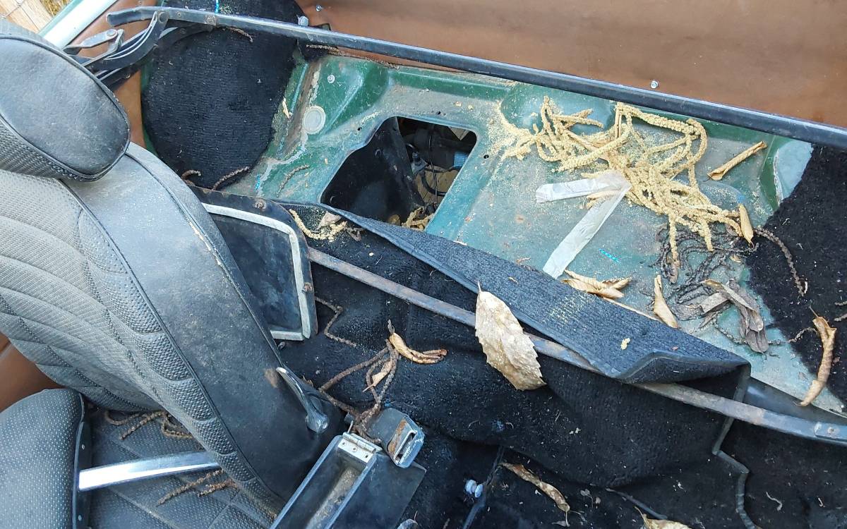 Mgb-convertible-1977-green-8
