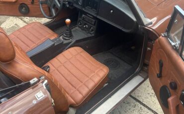 Mgb-convertible-1979-brown-5