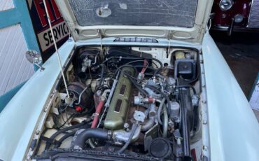 Mgc-ct-1969-white-2
